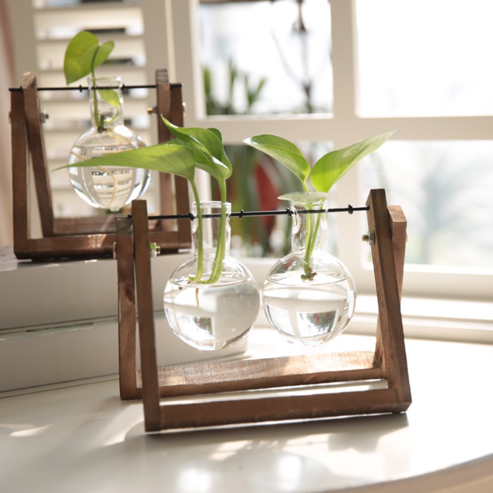 Kreatywny drewniany uchwyt na  – Propagation Station Vase recenzja i cena