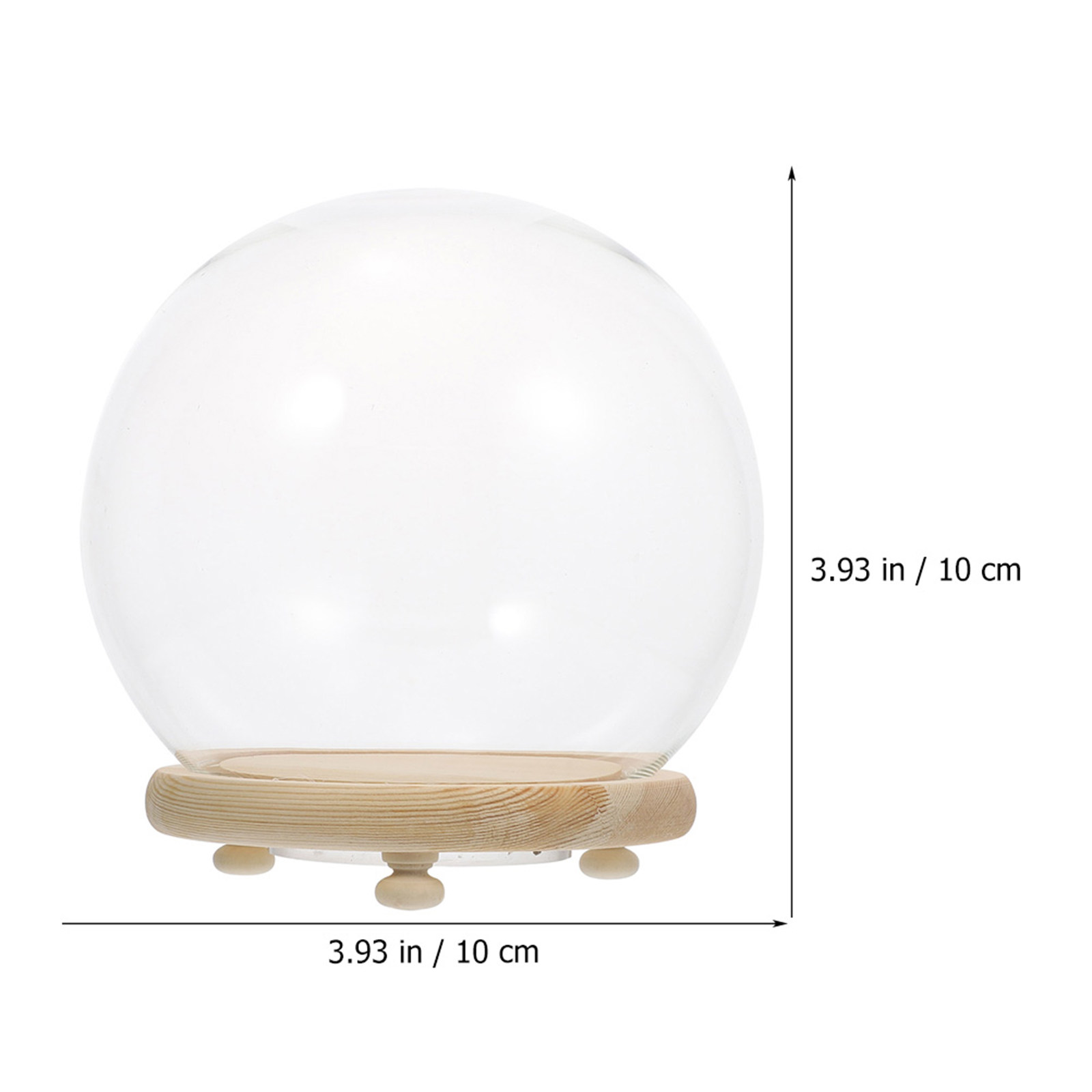 Szklana kopuła do ekspozycji k – Plastic Dome Clear recenzja i cena